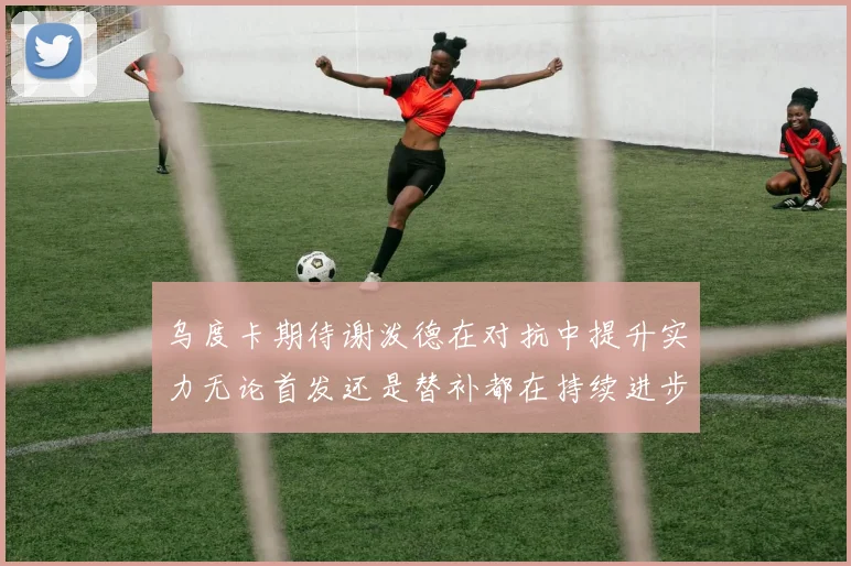 乌度卡期待谢泼德在对抗中提升实力无论首发还是替补都在持续进步